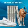 Фостер Джо: Изобретатель кроссовок. История основателя Reebok