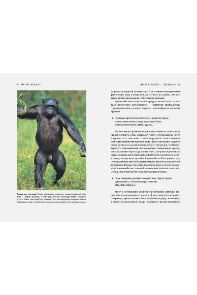 Ван Вен Патрик: Help! Мой босс – обезьяна! Социальное поведение на работе с точки зрения биологии