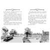 Стивенсон С.: Агата Мистери. Книга 22. Миллион за птицу додо