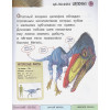 Ананьева Елена Германовна: Все хищные динозавры с крупными буквами