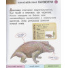 Ананьева Елена Германовна: Все травоядные динозавры с крупными буквами