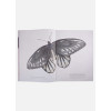 Ротери Б.: Загадочный мир бабочек