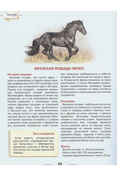 Соколова Я.: Энциклопедия для детей. Лошади