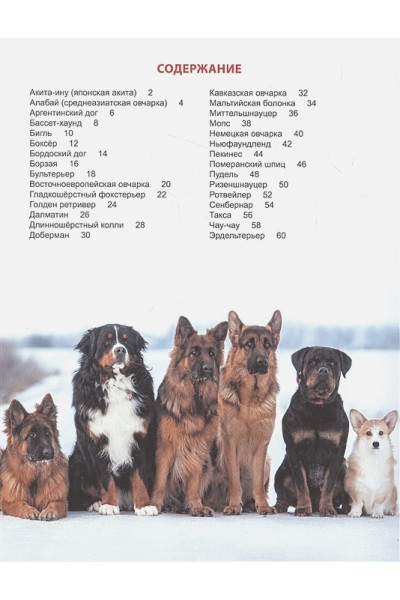 Тяжлова О.: Энциклопедия для детей. Собака