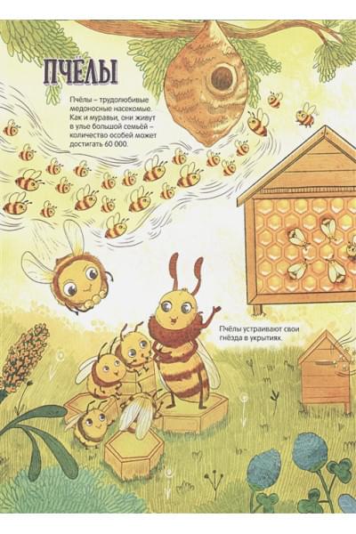 ЭНЦИКЛОПЕДИЯ В КАРТИНКАХ. НЕОБЫЧНЫЙ МИР НАСЕКОМЫХ глянц.ламин.