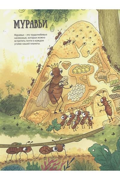 ЭНЦИКЛОПЕДИЯ В КАРТИНКАХ. НЕОБЫЧНЫЙ МИР НАСЕКОМЫХ глянц.ламин.