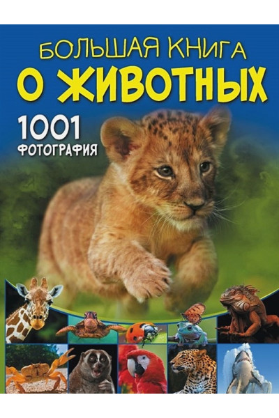 Ермакович Дарья Ивановна: Большая книга о животных. 1001 фотография