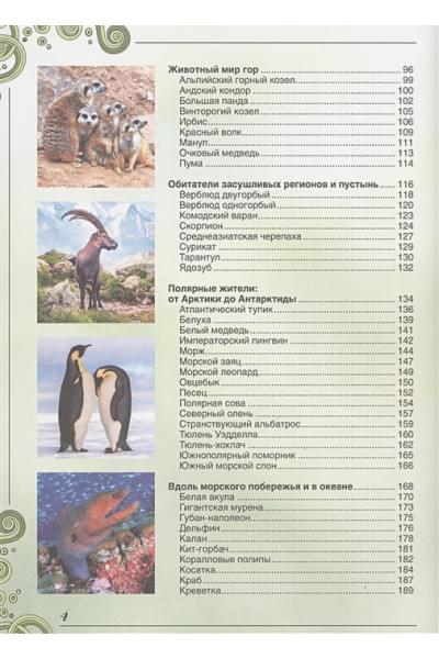 Ермакович Дарья Ивановна: Большая книга о животных. 1001 фотография