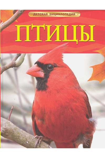 Догерти Джиллиан: Птицы. Детская энциклопедия