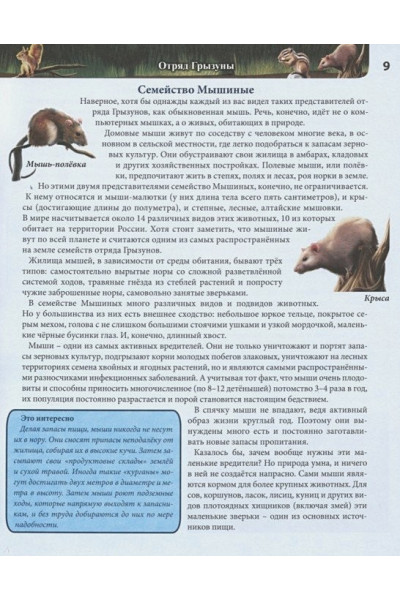 Калугина Л.: Животные России