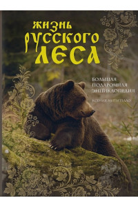 Жизнь русского леса (издание дополненное и переработанное) (медведь)