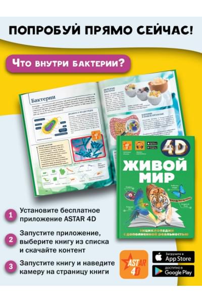 Спектор Анна Артуровна: Живой мир