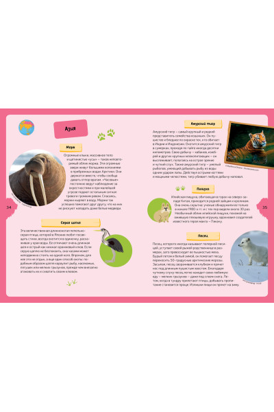 Бийу Жан-Мишель: Животные планеты. Интерактивная детская энциклопедия с магнитами