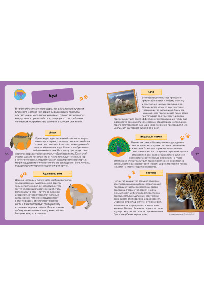 Бийу Жан-Мишель: Животные планеты. Интерактивная детская энциклопедия с магнитами