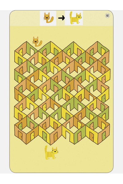 Писарева Е.: 100 лабиринтов от простых до сложных. 50 многоразовых карточкек (+ маркер в подарок)