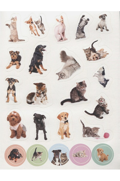 Скворцова А. (ред.): 100 Наклеек. Кошки И Собаки