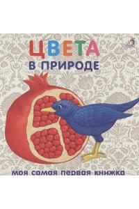 Книжки-картонки. Цвета в природе