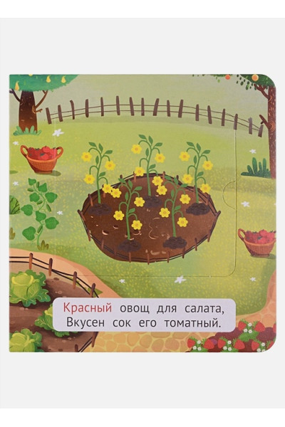 Брагинец Н.: Цвета. Книжка-малышка с окошками
