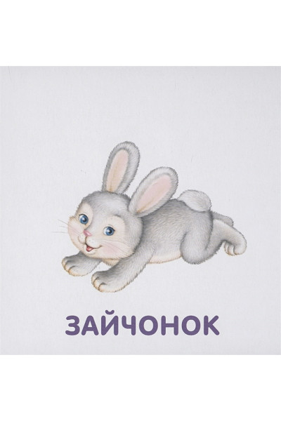 Гагарина М. (ред.): Книжки-картонки. Животные и детеныши