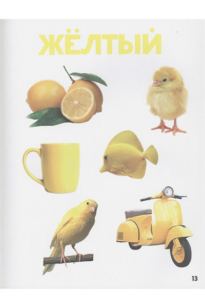 Ктиторова Е. (ред.): Главная Книга Малыша
