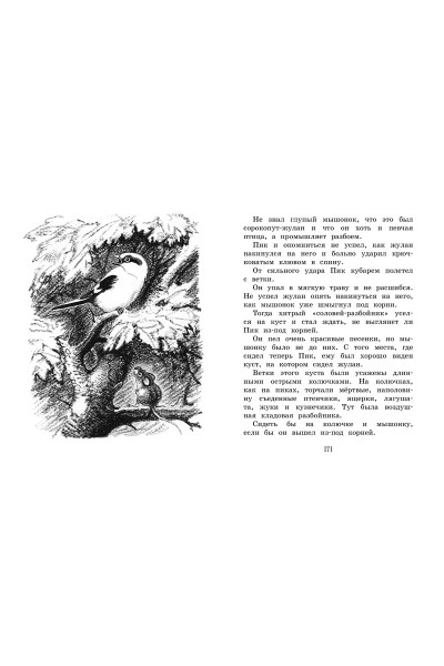 Бианки В.: Лесные сказки и рассказы