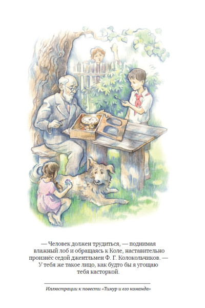 Гайдар Аркадий Петрович: Тимур и его команда (ил. О. Зубарева)