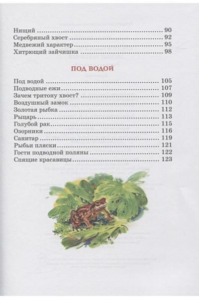 Сладков Н.: Лесные тайнички