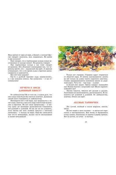 Сладков Н.: Лесные тайнички