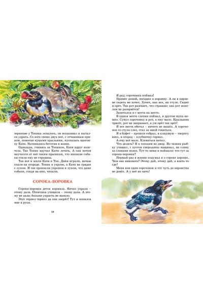 Сладков Н.: Лесные тайнички