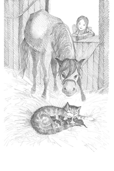 Вебб Холли: Котёнок Пушинка, или Рождественское чудо (выпуск 4)