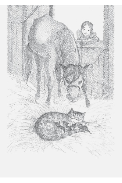 Вебб Холли: Котёнок Пушинка, или Рождественское чудо (выпуск 4)