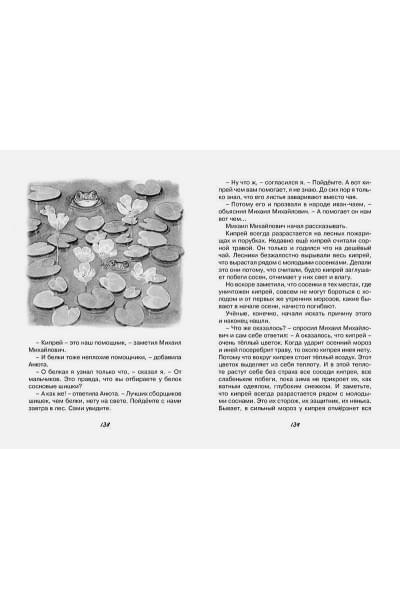 Паустовский К.: Кот-ворюга. Рассказы и сказки