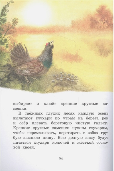 Соколов-Микитов И.: Год в лесу. Рассказы о природе