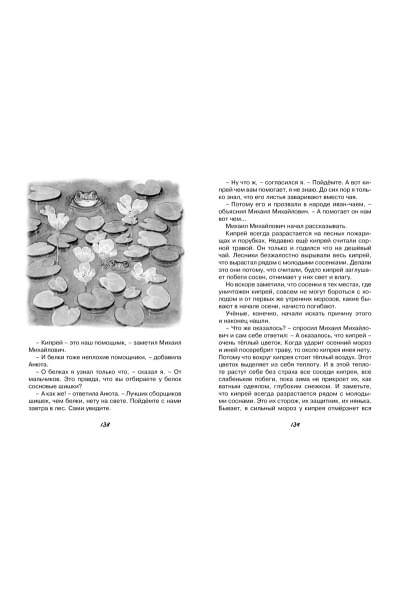 Паустовский К.: Кот-ворюга. Рассказы и сказки
