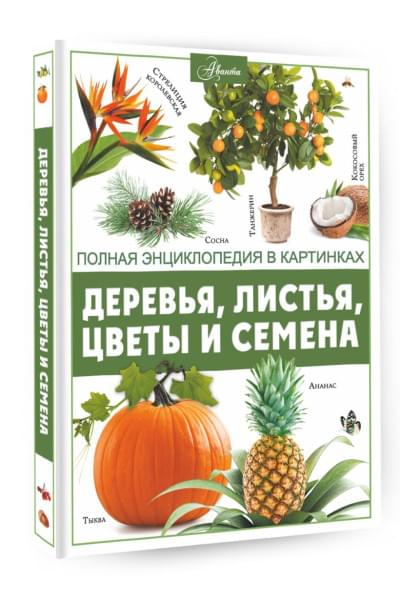 Спектор Анна Артуровна: Деревья, листья, цветы и семена