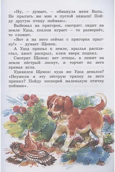 Бианки В.: Где раки зимуют. Сказки и рассказы