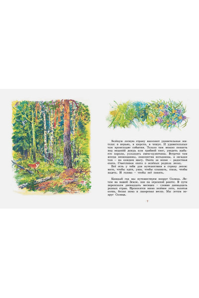 Сладков Н.: Лесные тайнички