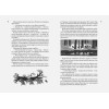 Янссон Туве Марика: Всё о Муми-троллях. Книга 2