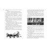 Янссон Туве Марика: Всё о Муми-троллях. Книга 2