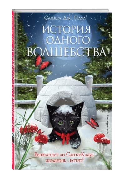 Паул Сандра Дж.: История одного волшебства (выпуск 1)