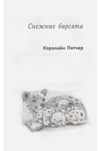 Вебб Холли: Пора снежных историй