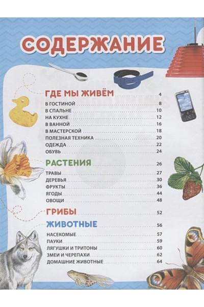 Любимая энциклопедия малыша