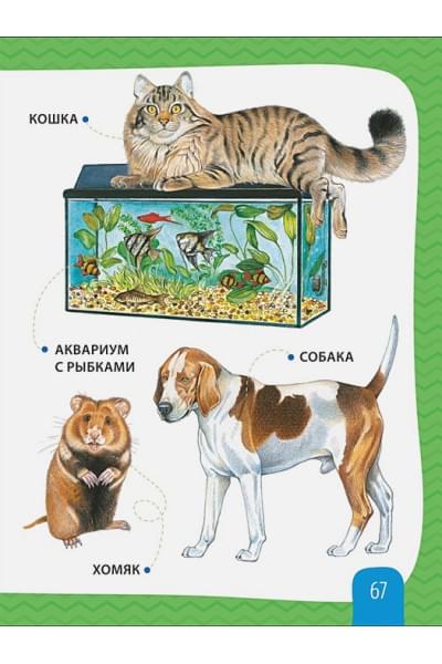 Любимая энциклопедия малыша