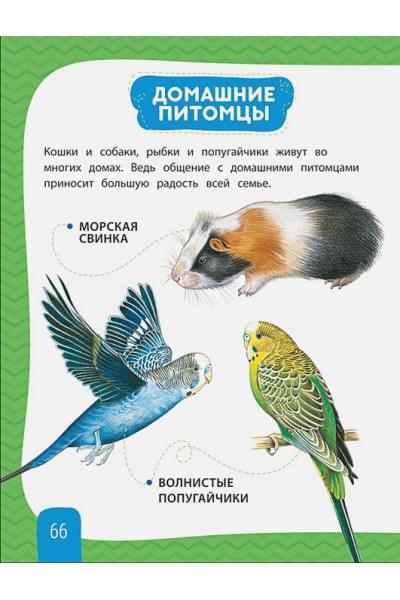 Любимая энциклопедия малыша