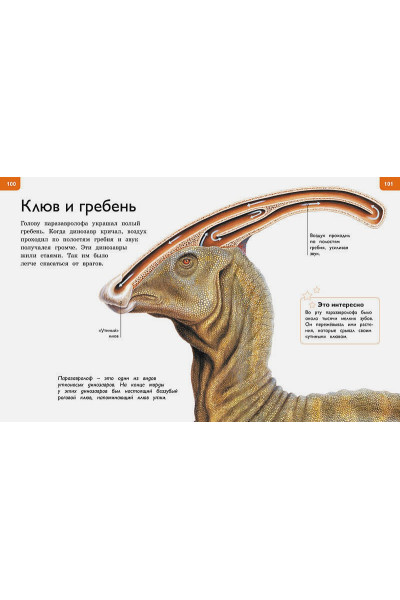 Коуп Р.: Новая энциклопедия для любознательных (нов.оф.)