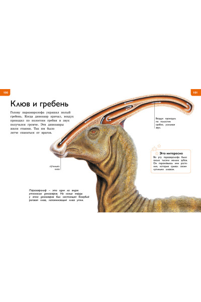 Коуп Р.: Новая энциклопедия для любознательных (нов.оф.)