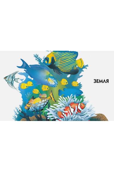 Бологова В., Земцова Т., Красновская О., Шадрина И. (ред.): Новая детская энциклопедия