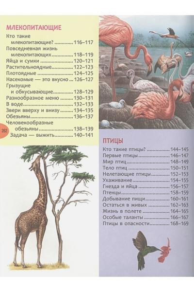 Вильямс Б.: Большая энциклопедия знаний (нов.)