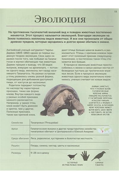 Мартин К.: Животные. Современная энциклопедия