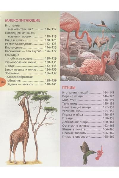 Вильямс Б., Иган В., Макрей Э., Агоста Л., Ганери А.: Большая энциклопедия знаний